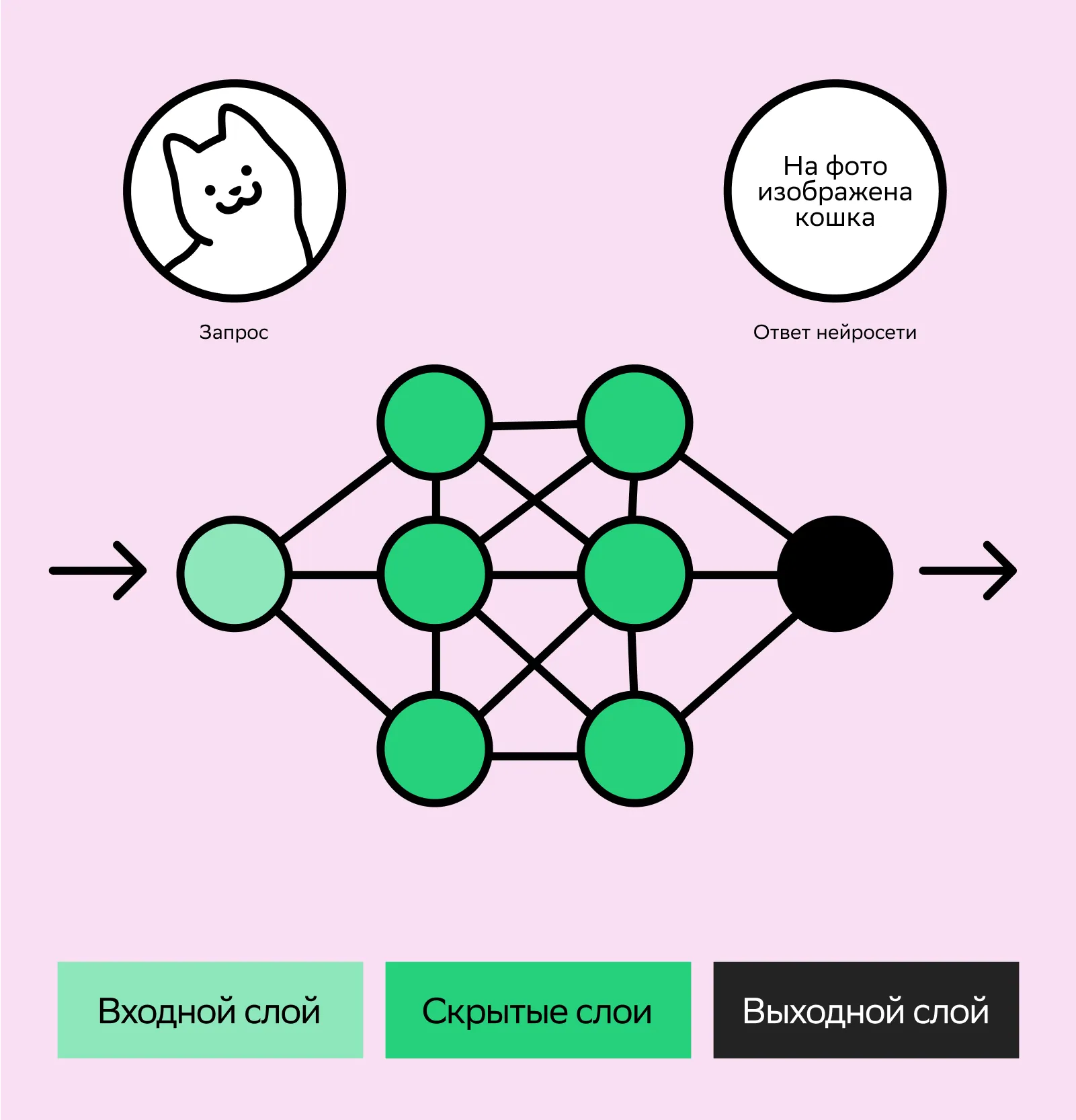 Неясно, что происходит во внутренних слоях и по каким признакам модель решает, что кошка — это кошка, а не собака