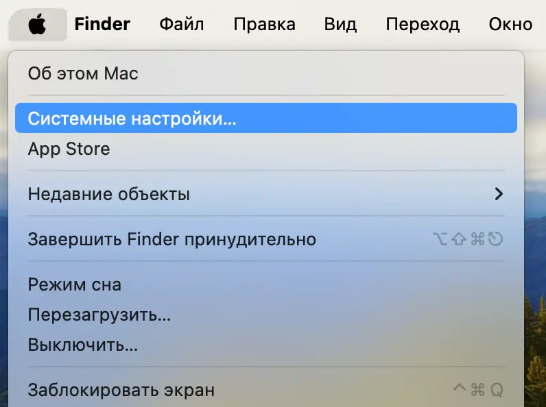 Инструкция настройки прокси для MacOS