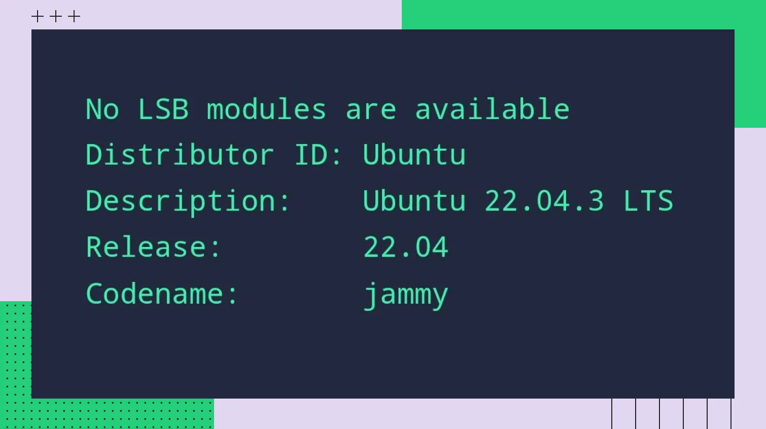 Поле Description с версией