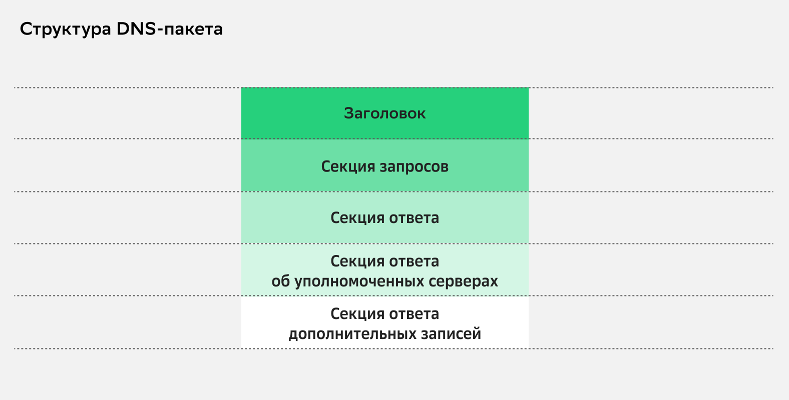 DNS-пакет обрабатывает запросы и ответы по преобразованию доменного имени сайта в IP-адрес