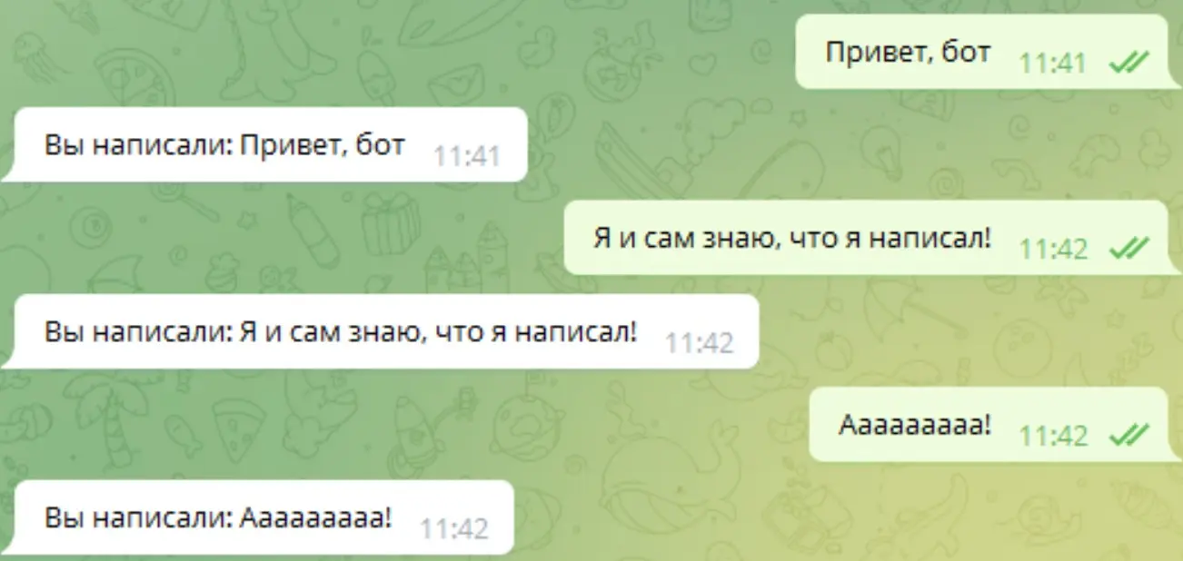 Общение в чате с эхо-ботом